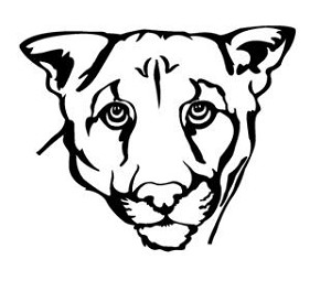 Lioness Head Decal Sticker 