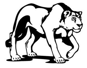 Lioness Decal Sticker 