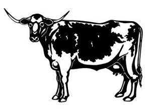 Longhorn v3 Decal Sticker 