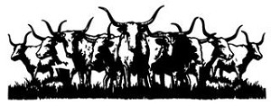 Longhorn Cattle Decal Sticker 