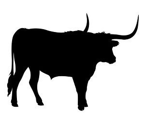Longhorn Silhouette Decal Sticker 