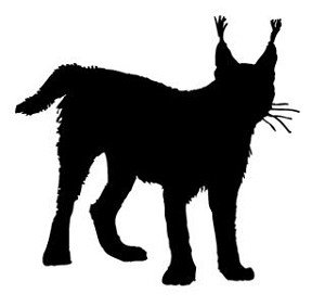 Lynx Decal Sticker 