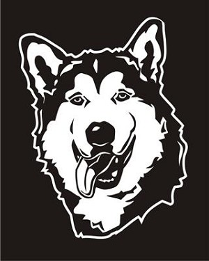 Malamute Head v3 Decal Sticker 