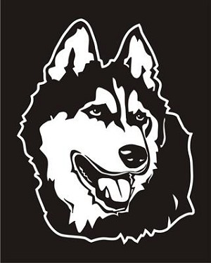 Malamute Head v4 Decal Sticker 