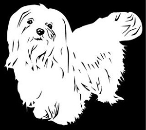 Maltese v3 Decal Sticker 