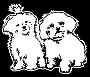 Maltese v4 Decal Sticker 