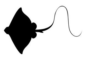 Manta Ray Silhouette Decal Sticker 
