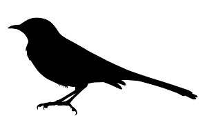 Mockingbird Silhouette Decal Sticker 
