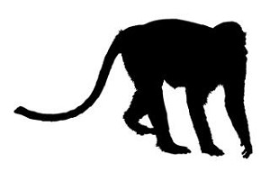 Monkey Silhouette v1  Decal Sticker 