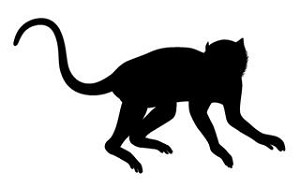 Monkey Silhouette v2  Decal Sticker 