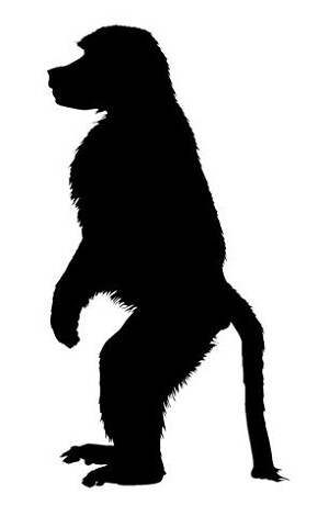 Monkey Silhouette v3  Decal Sticker 