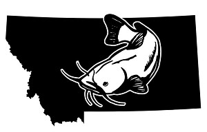 Montana Catfish Decal Sticker 