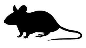Mouse Silhouette v2 Decal Sticker 