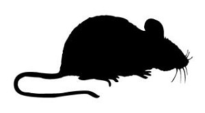 Mouse Silhouette  Decal Sticker 