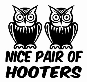 Nice Pair of Hooters Decal Sticker 