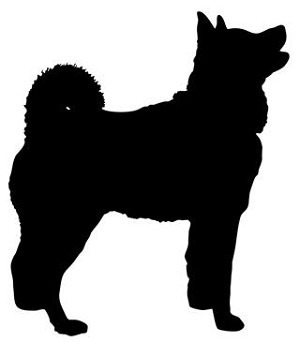 Norwegian Buhund Silhouette Decal Sticker 
