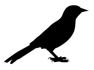 Oriole Silhouette Decal Sticker 