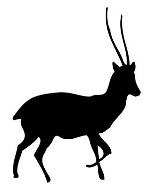 Oryx Silhouette v1 Decal Sticker 