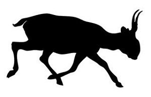 Oryx Silhouette v2 Decal Sticker 