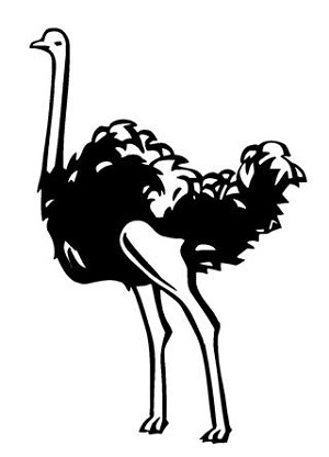 Ostrich v2 Decal Sticker 