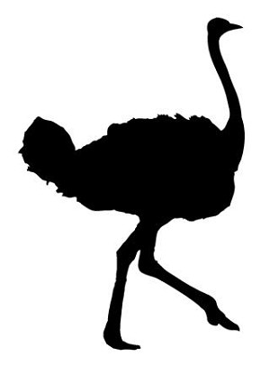 Ostrich Silhouette v1 Decal Sticker 