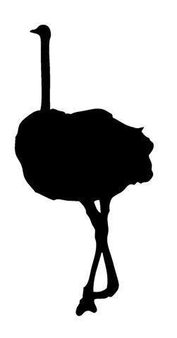 Ostrich Silhouette v2 Decal Sticker 