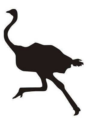 Ostrich Silhouette v3 Decal Sticker 