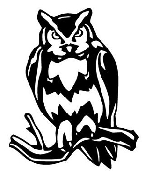 Owl v1 Decal Sticker 
