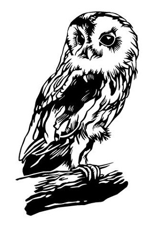 Owl v3 Decal Sticker 