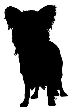 Papillion Silhouette Decal Sticker 