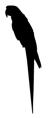 Parrot Silhouette Decal Sticker 