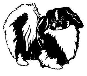 Pekingese Decal Sticker 