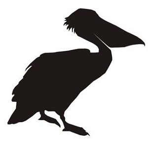 Pelican Silhouette Decal Sticker 