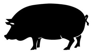 Pig v1 Decal Sticker 