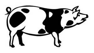 Pig v2 Decal Sticker 