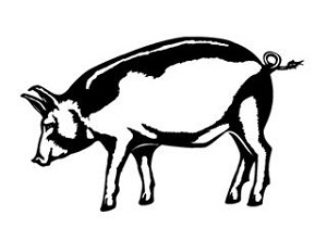 Pig v3 Decal Sticker 