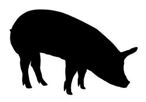 Pig Silhouette v3 Decal Sticker 
