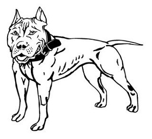 Pit Bull v2 Decal Sticker 