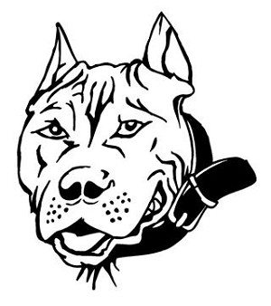 Pit Bull Head Decal Sticker 