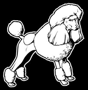 Poodle v2 Decal Sticker 