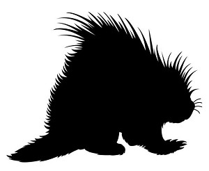 Porcupine Silhouette Decal Sticker 