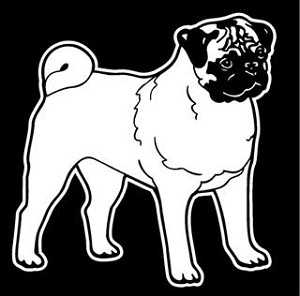Pug Decal Sticker 