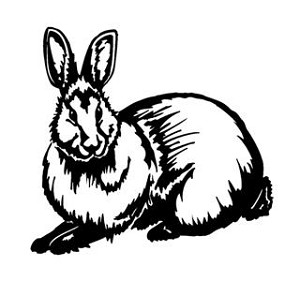 Rabbit v3 Decal Sticker 