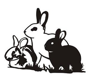 Rabbits Decal Sticker 