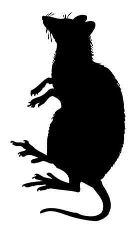 Rat Silhouette v3 Decal Sticker 