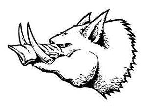 Razorback Wild Boar Decal Sticker 