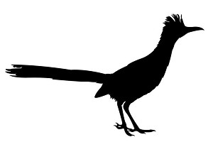 Road Runner Silhouette v5 Decal Sticker 