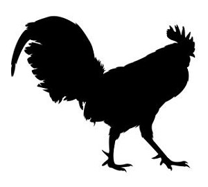 Rooster Silhouette v2 Decal Sticker 