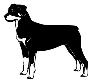 Rottweiler v2 Decal Sticker 