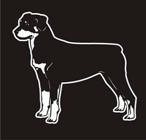 Rottweiler v3 Decal Sticker 